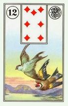 Lenormand cards Oriole