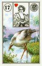 Lenormand card Stork