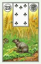 lenormand card mouse