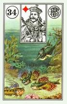 Lenormand card Fish