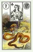 Lenormand card Snake